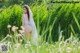 A woman in a white dress standing in a field of tall grass.